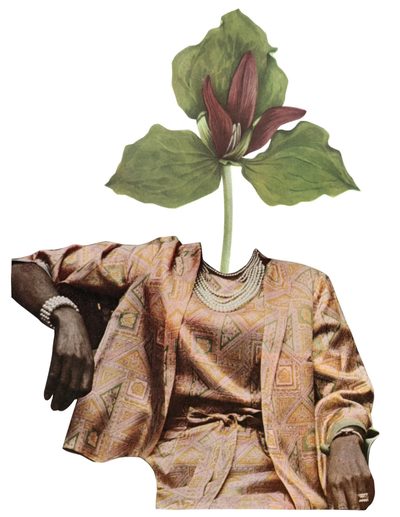 collages
